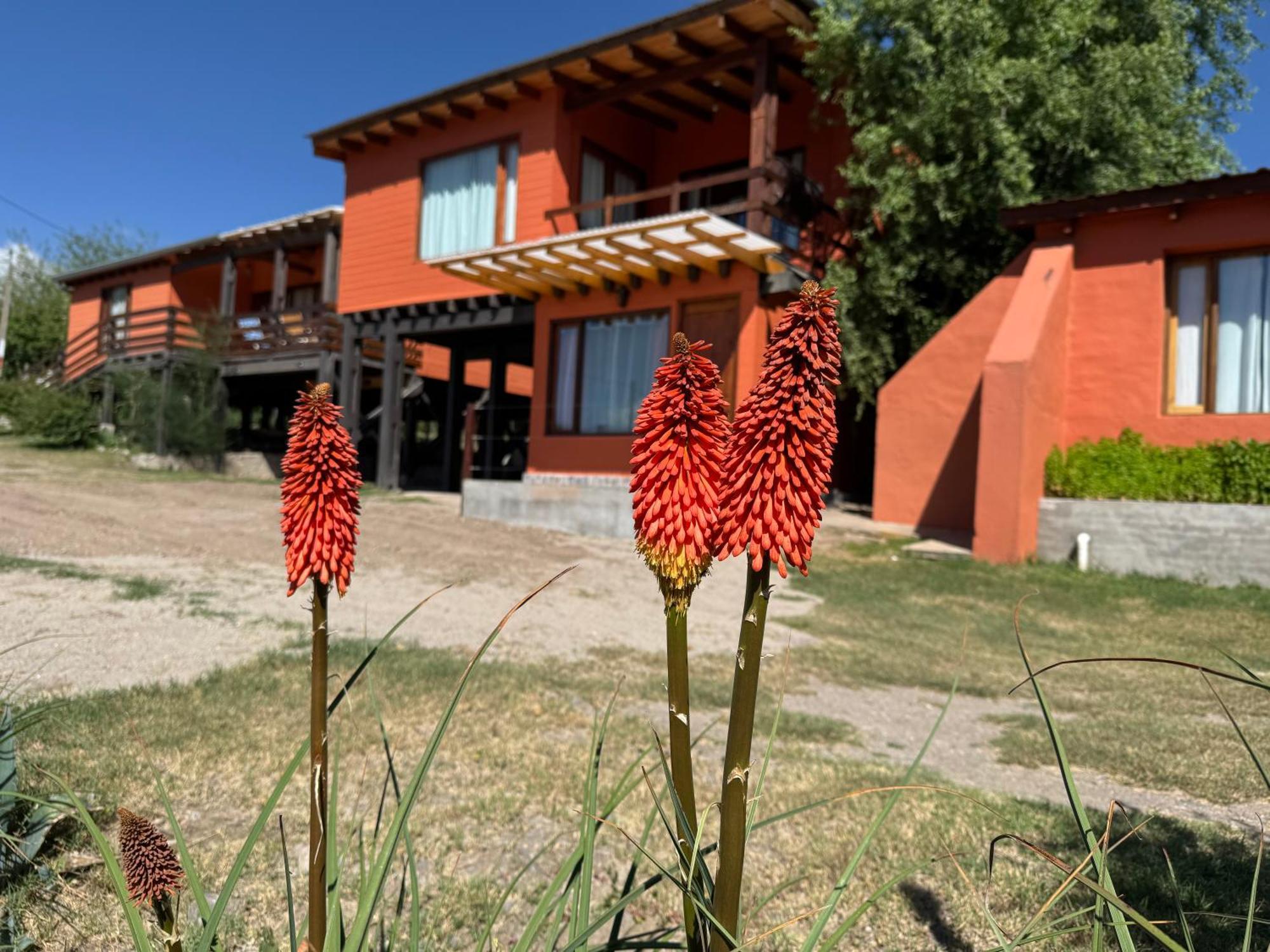 Cabana El Churqui Tafi del Valle Exterior photo